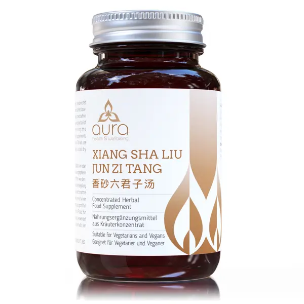 XIANG SHA LIU JUN ZI TANG (comprimés)
